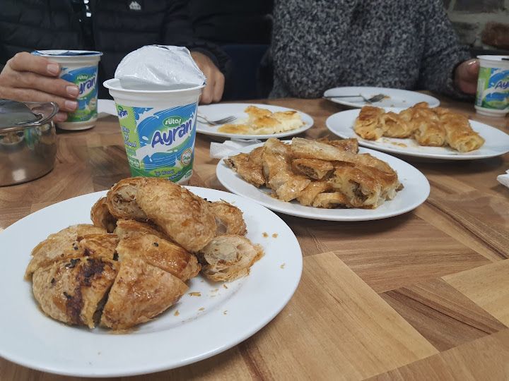 Fotoğraf 15