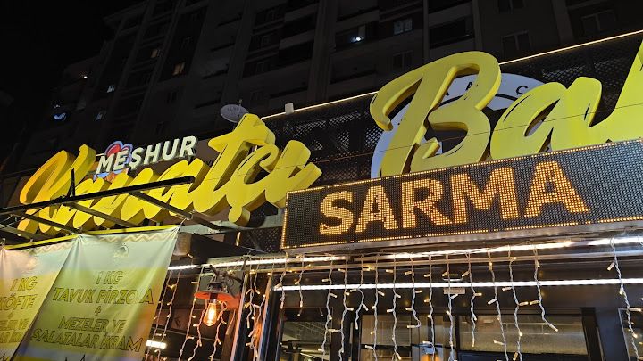 MEŞHUR KANATÇI BAHADIR