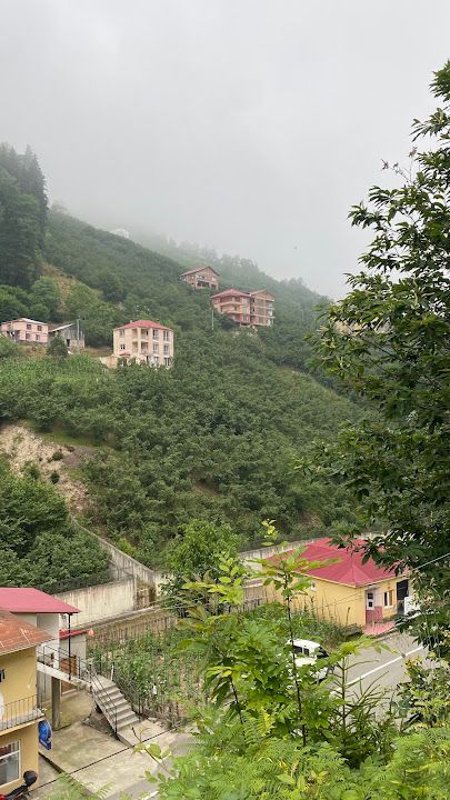 Yorum fotoğrafı 4