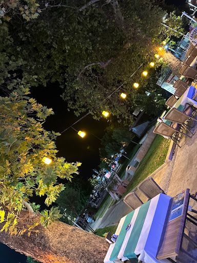 Fotoğraf 12