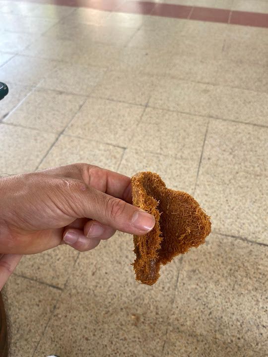 Fotoğraf 23