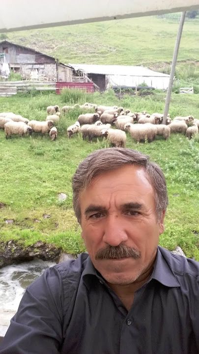 Yorum fotoğrafı 3
