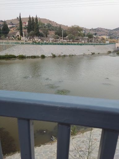 Fotoğraf 16
