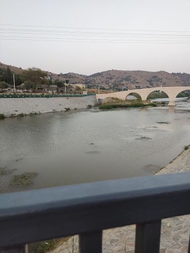 Fotoğraf 17