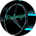 Tamer Yavuz (PALMİYE oto)