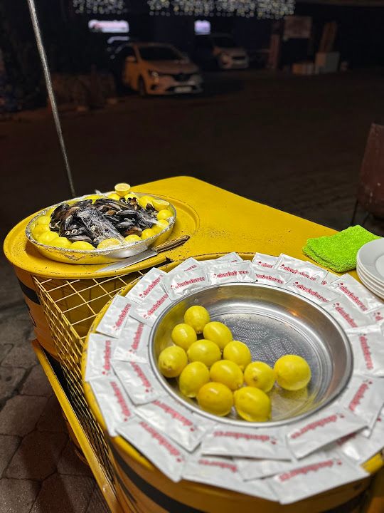 Fotoğraf 16