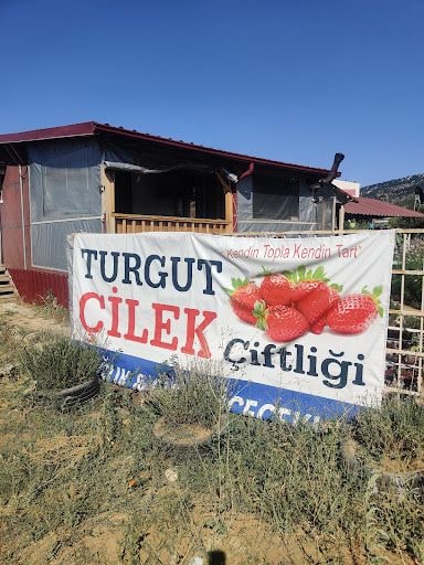 Yorum fotoğrafı 10