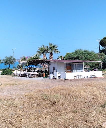 Fotoğraf 11