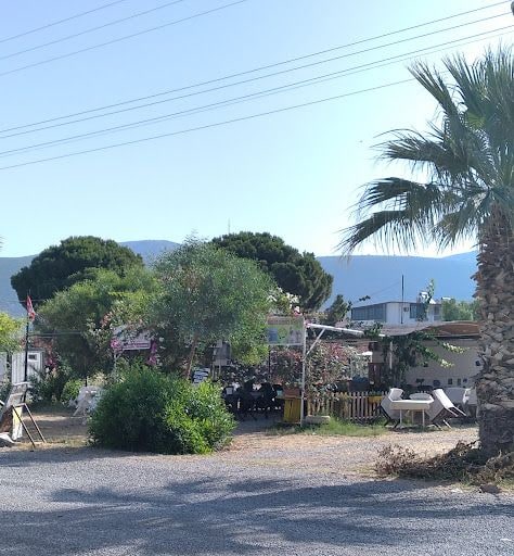Fotoğraf 12