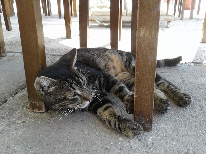 Yorum fotoğrafı 2