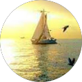 Tansu Bağcı