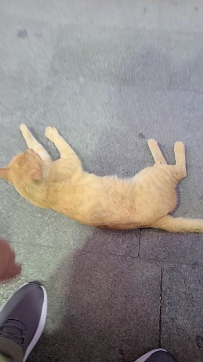 Fotoğraf 13