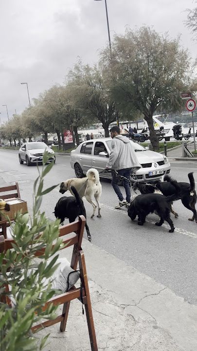 Fotoğraf 59