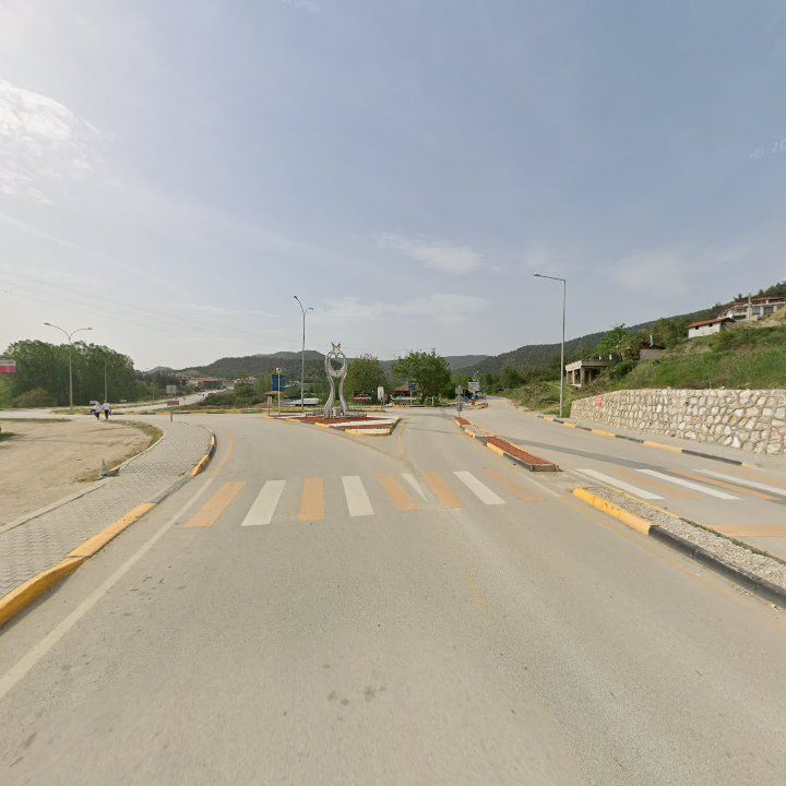 Fotoğraf 9