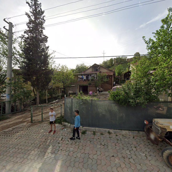 Fotoğraf 7