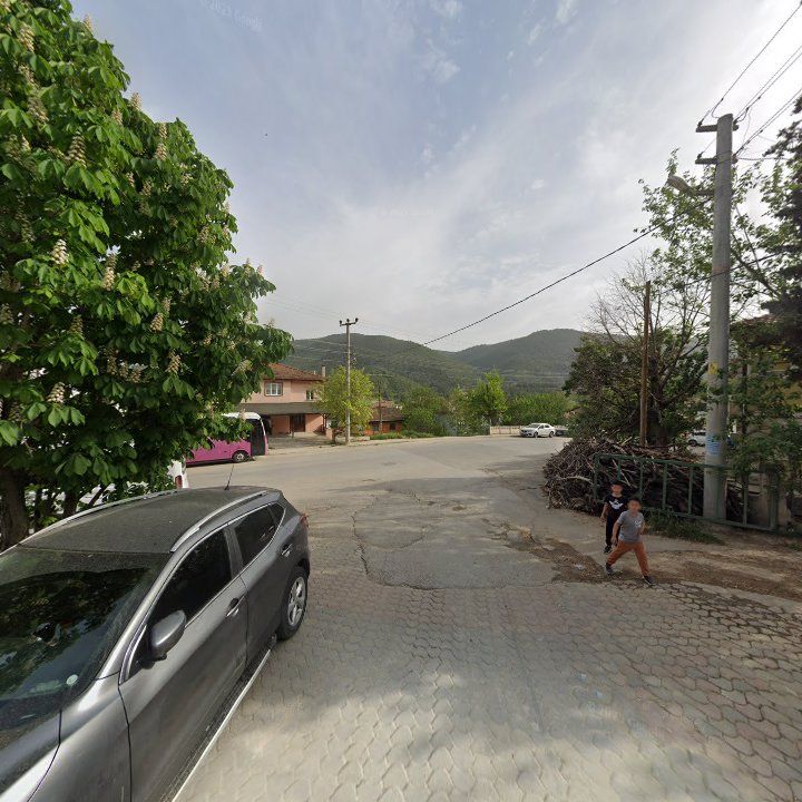 Fotoğraf 6