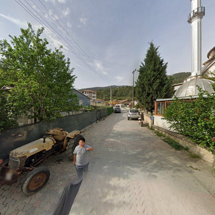 Fotoğraf 8