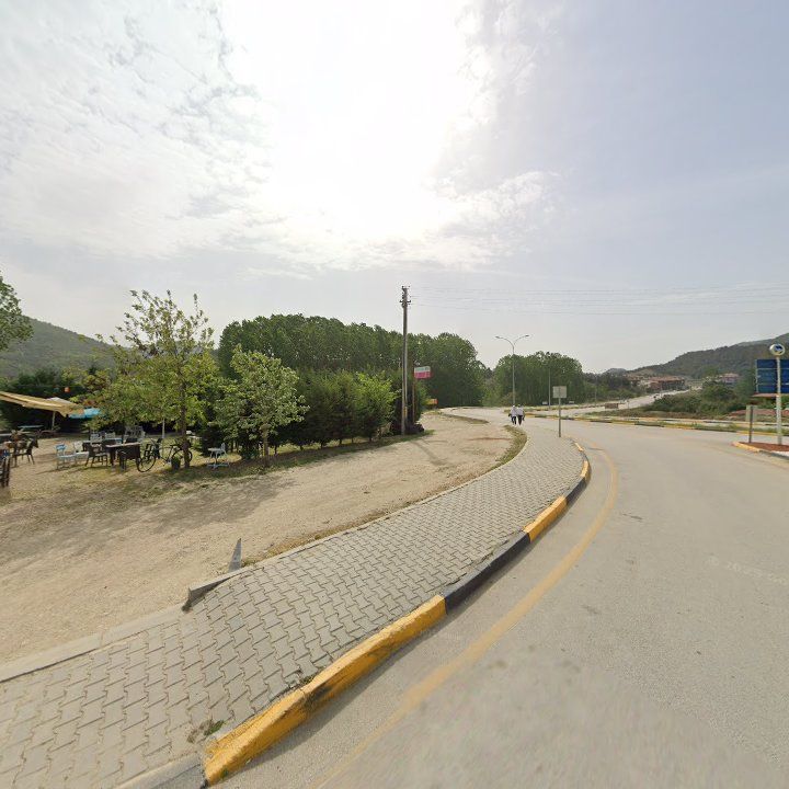 Fotoğraf 10