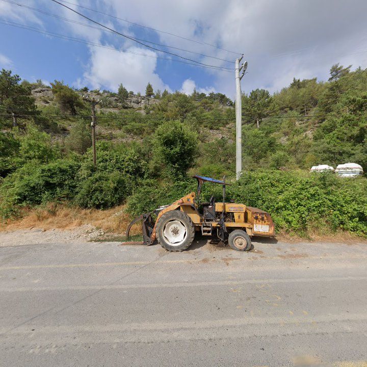 Fotoğraf 7