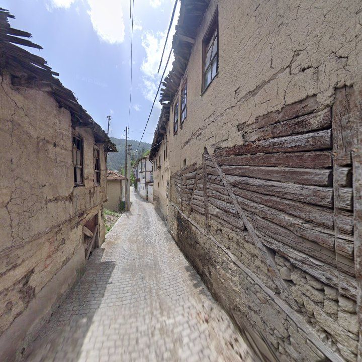 Fotoğraf 10