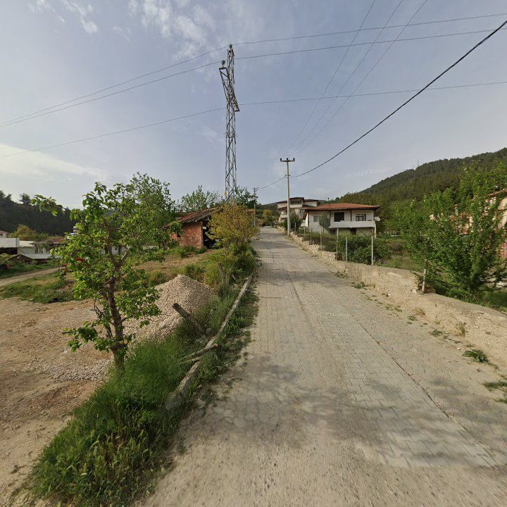 Fotoğraf 6