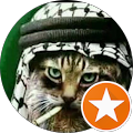 TARAN KEDİ