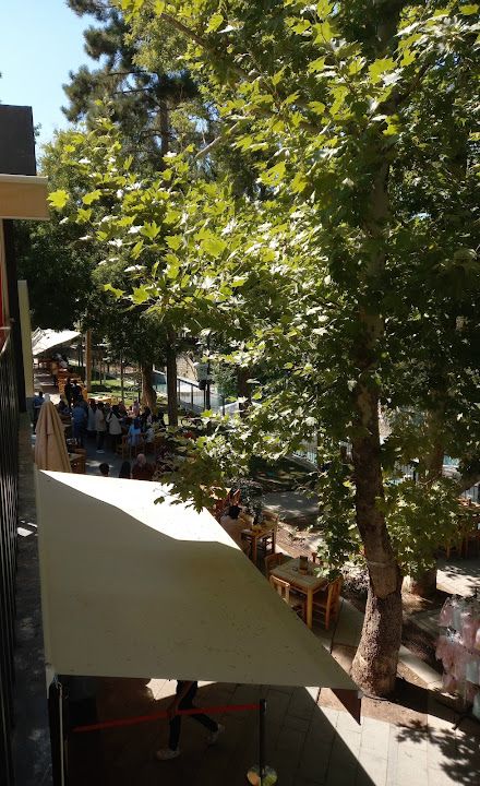 Yorum fotoğrafı 1