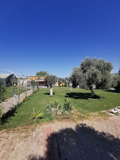 Fotoğraf 11
