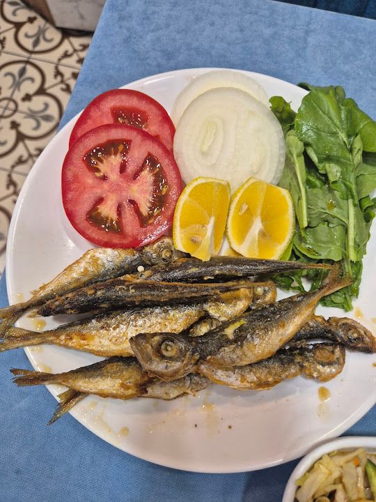 Fotoğraf 24