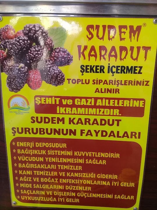 Fotoğraf 19