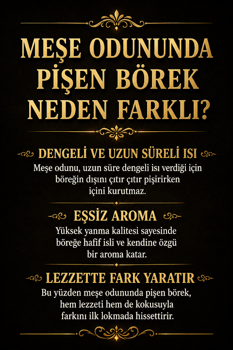 Fotoğraf 19