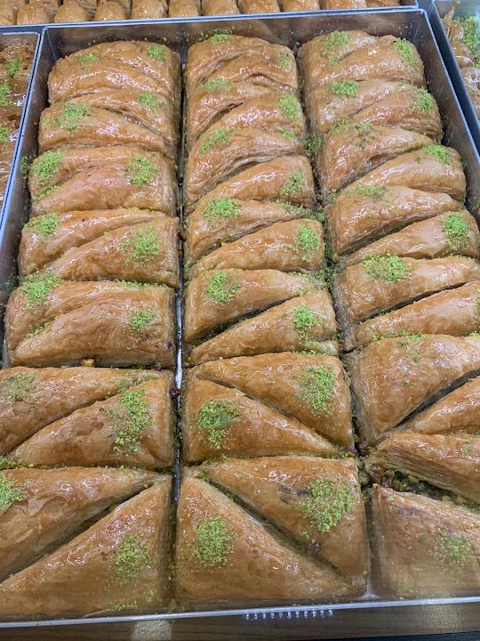 Fotoğraf 17