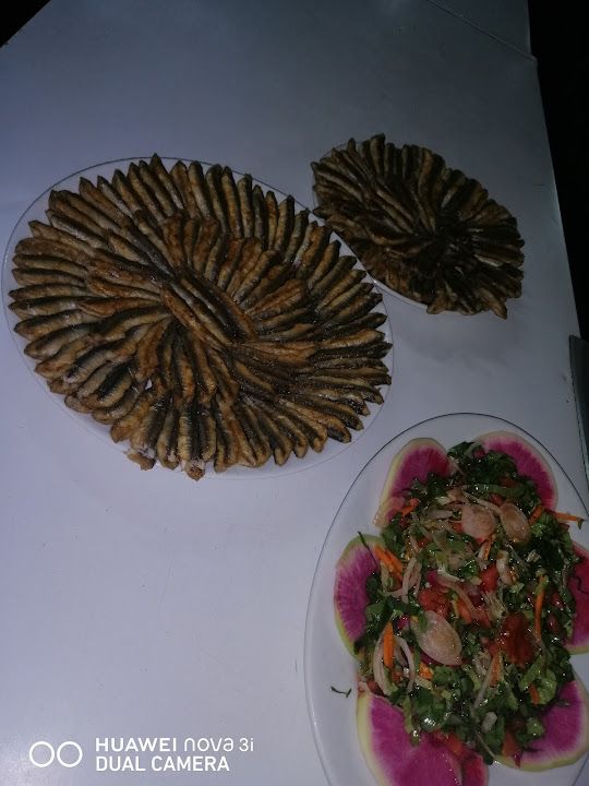 Fotoğraf 44