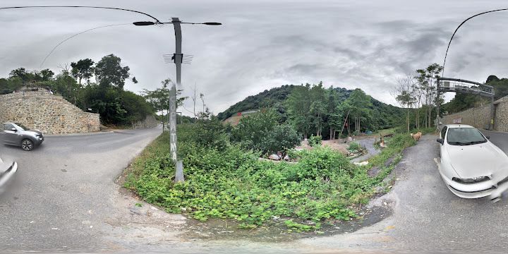 Fotoğraf 21