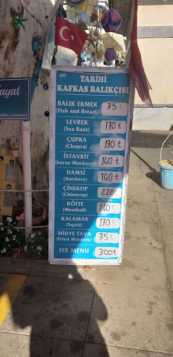 Fotoğraf 12