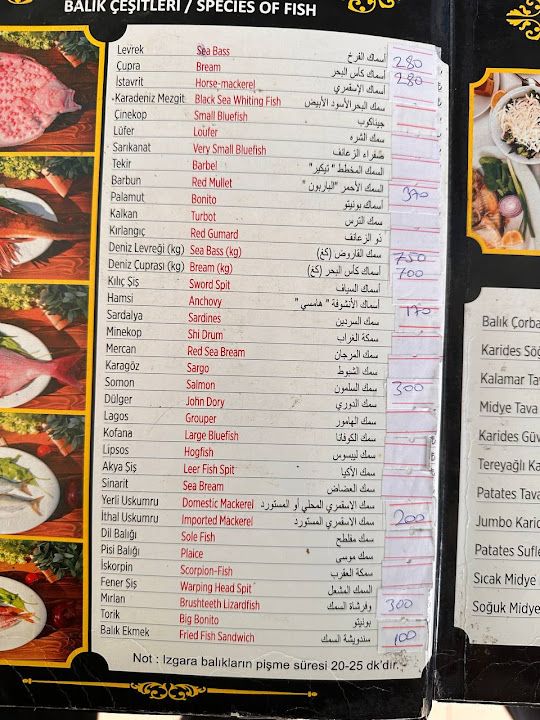 Fotoğraf 32
