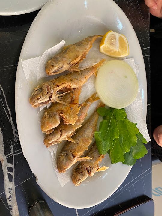 Fotoğraf 28