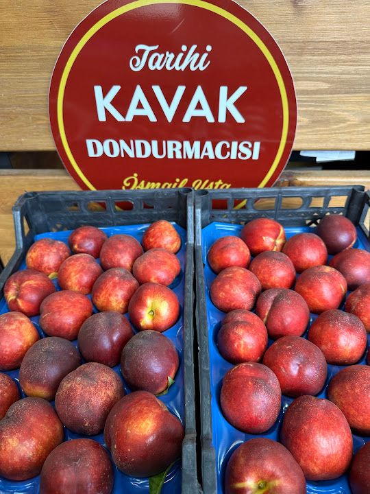 Fotoğraf 43