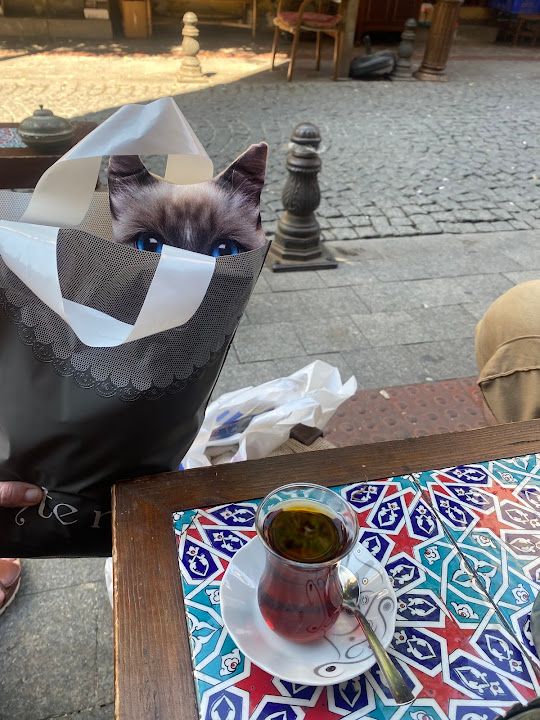 Fotoğraf 22