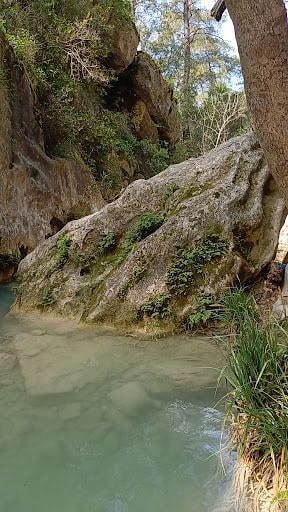 Yorum fotoğrafı 10
