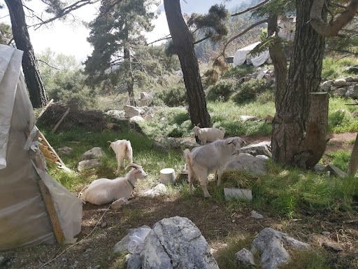 Yorum fotoğrafı 8