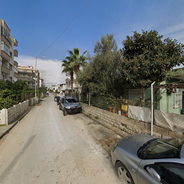 Fotoğraf 5