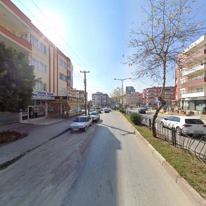 Fotoğraf 5