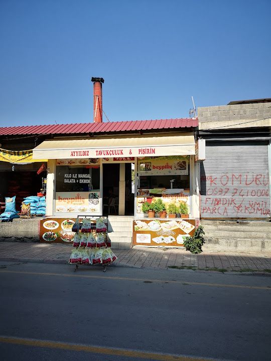 Ayyıldız Kebap ve Tavuk Izgara