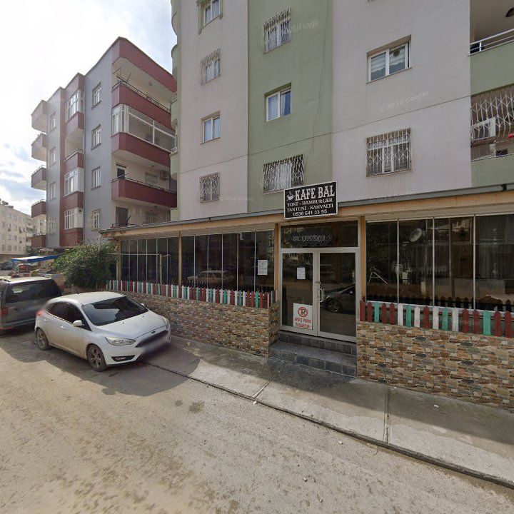 Fotoğraf 4