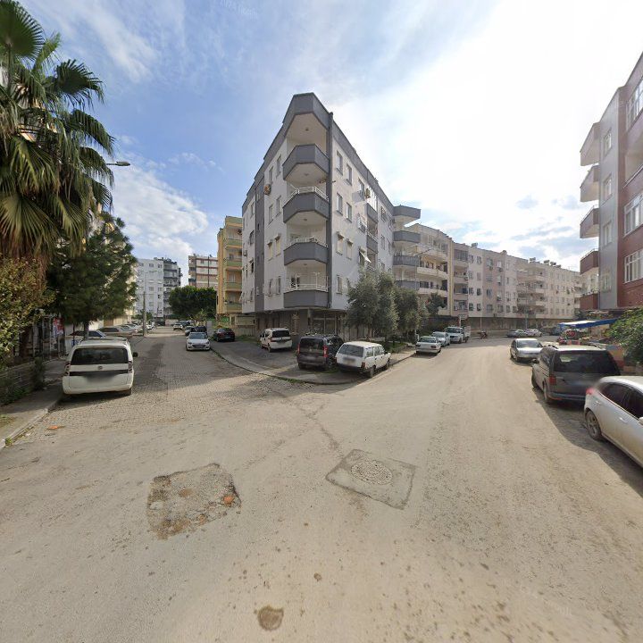Fotoğraf 3