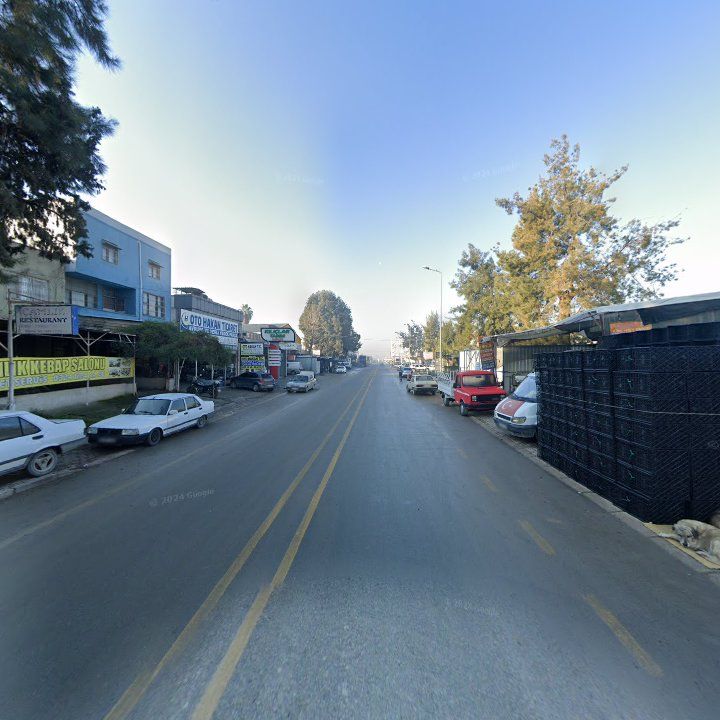 Fotoğraf 3