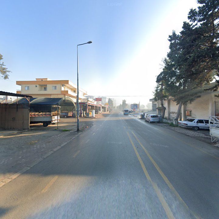 Fotoğraf 5