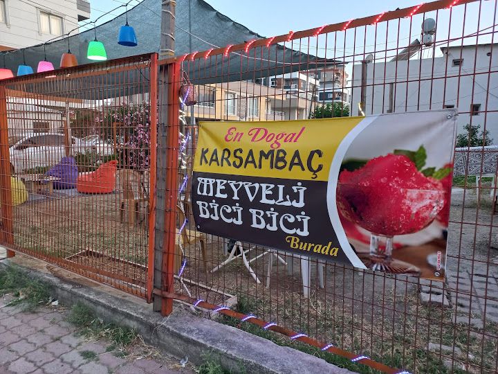 Ergenekon karsambaç