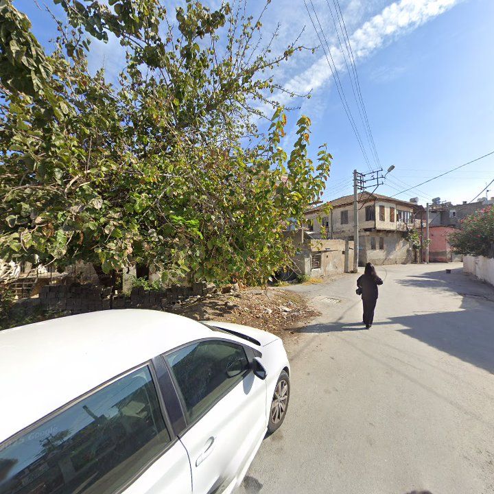 Fotoğraf 5